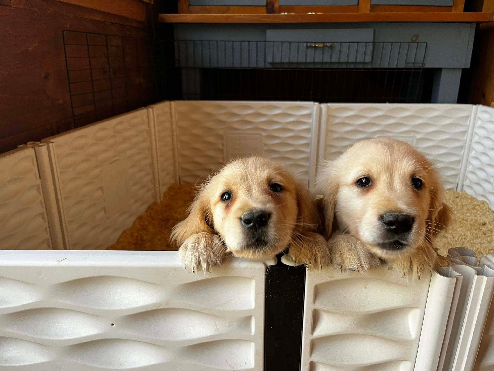 490362760_122106651806827249_6866469482276892316_n