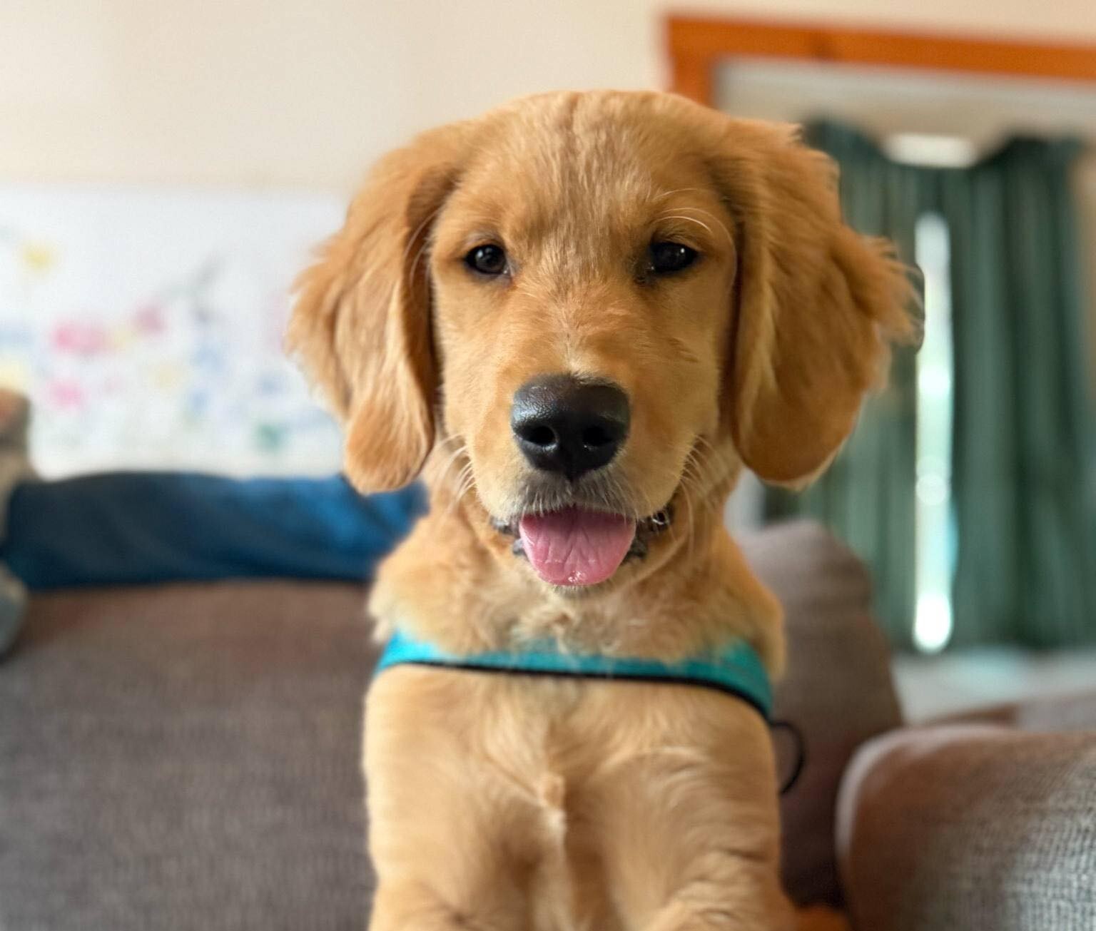 500281232_122123439794827249_8745900700800728766_n-1