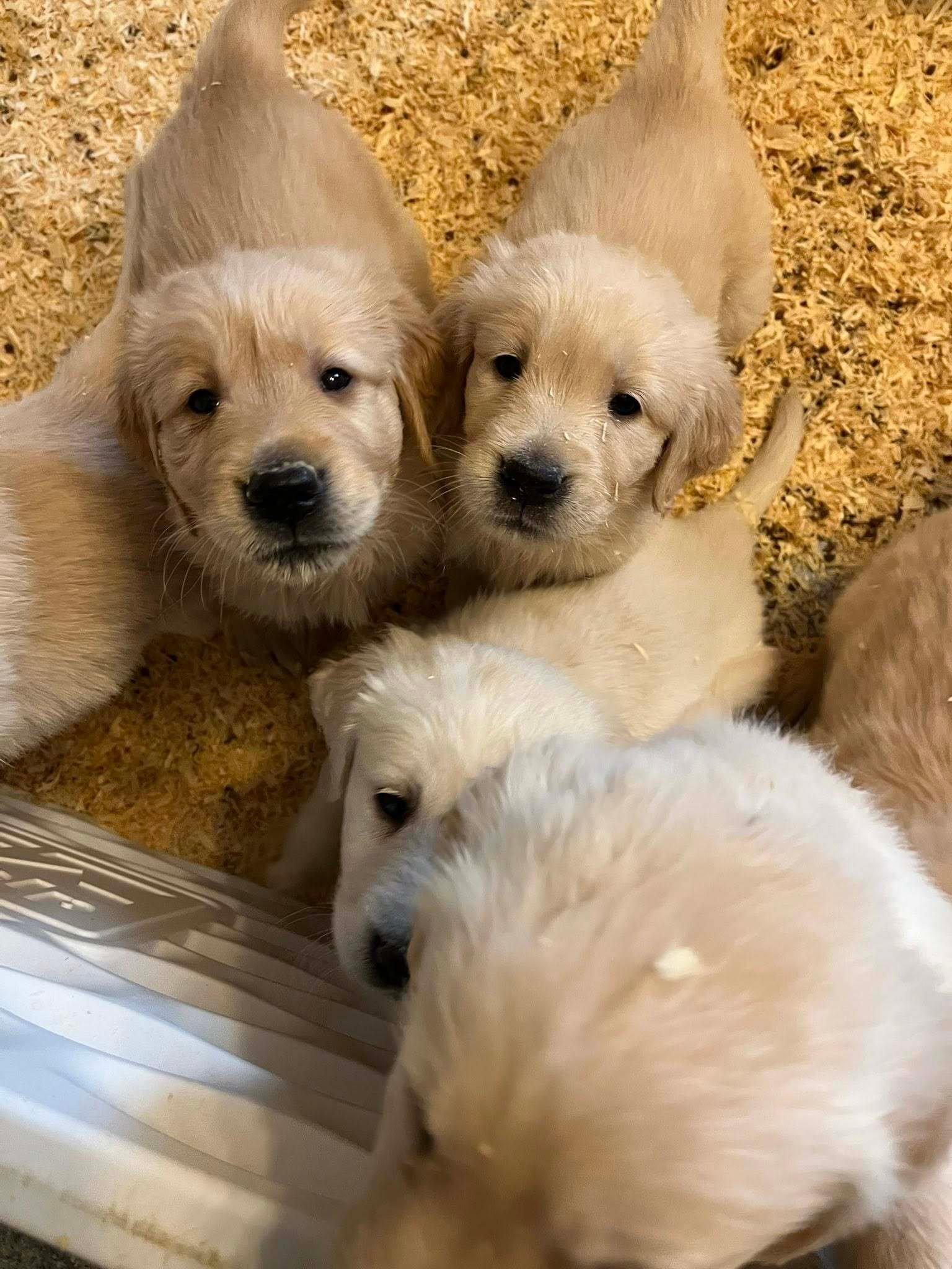 641419533_122169141146827249_966805076796143592_n