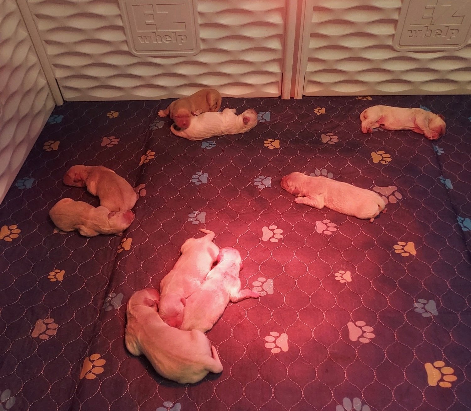 Resized_20260109_143100